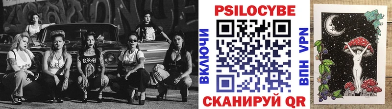 Галлюциногенные грибы Psilocybine cubensis  закладка  Дудинка 